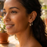 Mond & Stern Creolen Zirkonia Gold