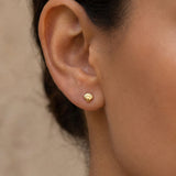 Tiny Shell Ohrstecker Gold