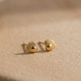 Tiny Shell Ohrstecker Gold