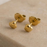 Tiny Shell Ohrstecker Gold