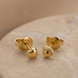 Tiny Shell Ohrstecker Gold