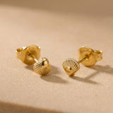 Tiny Shell Ohrstecker Gold