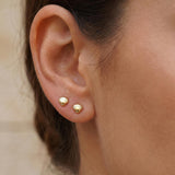 Tiny Shell Ohrstecker Gold