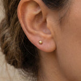 Tiny Star Ohrstecker Gold