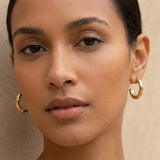 Twisted Creolen Gold