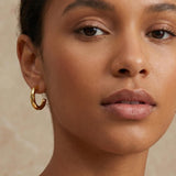 Twisted Creolen Gold