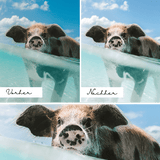Hey Coral Preset Collection White Sand | LR MOBILE & DESKTOP
