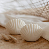 Shell Candle Nature